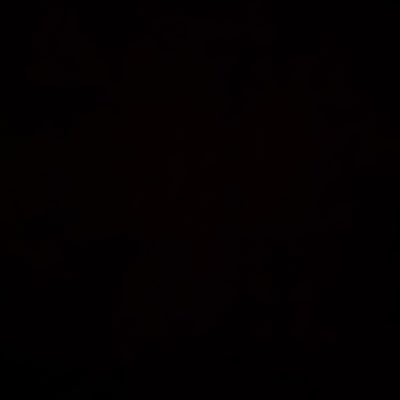 EthanMoan1's profile picture. 