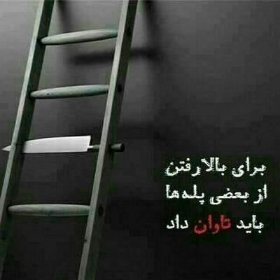 ⛽فالو=فالو⛽هموطن فالومیکنم بک ندی بجان انجلیناجولی آنفالوت میکنم😂