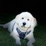 BlueChalknBoard's profile picture. |AI, Productivity, Leadership & Investment| https://t.co/q7690eD5W1🇨🇦🇺🇸🇮🇳|