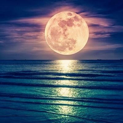 uKN1trNsDw87091's profile picture. 