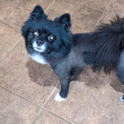 JimJones_007's profile picture. Do better Americans. Why does the electoral college still decide the winner? Stay focused. #VoteBlue #BlackLivesMatter #Resist #FBR🗳️🌈