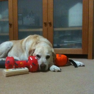 ADeakes's profile picture. 