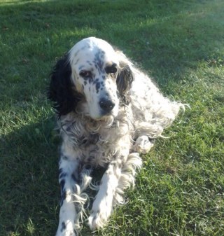 Jbersav28's profile picture. 