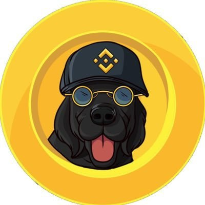 Binancedogonbsc's profile picture. The First Dog On BNB