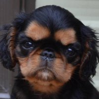 Taff Hill (@taff3308) 's Twitter Profile Photo