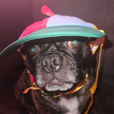 ImBrungo_'s profile picture. 