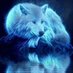 Spirit Fox (@spiritfox190855) Twitter profile photo Spirit Fox (@spiritfox190855) Twitter profile photo