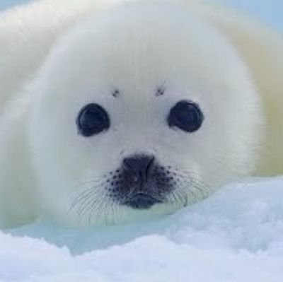 GOoc465208's profile picture. soy Gente Out of Context, Gente Out of Context 2 y gente Out of Context 3, pero me bloquearon las tres