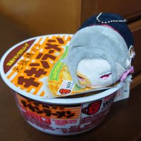 豊後の国の細 (@sasame_honmaru) 's Twitter Profile