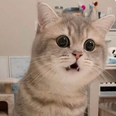 Zzeeixn's profile picture. ~