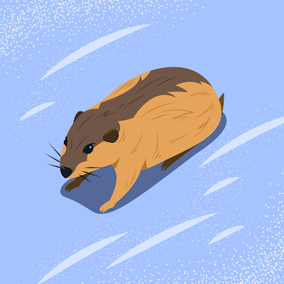 noicomdien1234's profile picture. 