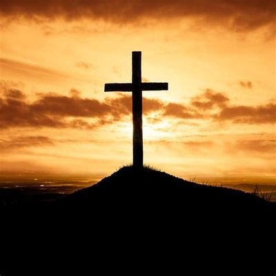 No_More_Delays's profile picture. U.S. disabled veteran,  disciple of Christ,MAGA man, and private investigator with 30 years experience. I specialize in identifying all types of fraud as a CFE.