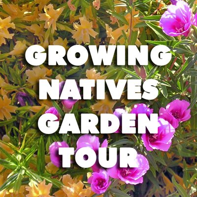 Since 2003, GNGT has been offering a free tour of CA native gardens each spring.