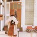 杏菜 (@nguyen235834) Twitter profile photo 杏菜 (@nguyen235834) Twitter profile photo