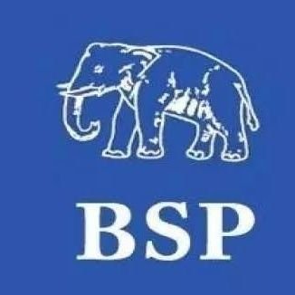 VivekSh87055312's profile picture. Bahujan Samaj party MP