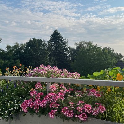 HelgaBechmann's profile picture. About to leave X for good