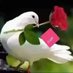 Tilahun Alemneh (@alemneh35207) Twitter profile photo Tilahun Alemneh (@alemneh35207) Twitter profile photo