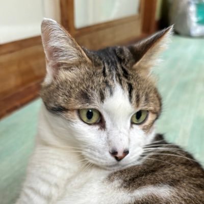 DIVAシティさんのプロフィール画像