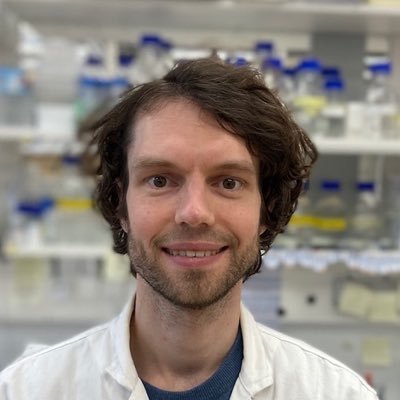 Biochemist studying the fascinating molecular mechanisms of animal development and tissue patterning. Postdoctoral researcher @genikhovich group.