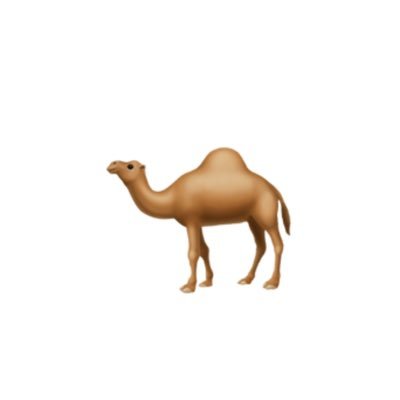 🐪🐪🐪🐪🐪🐪🐪 🐪🐪🐪🐪🐪🐪🐪 🐪🐪🐪🐪🐪🐪🐪 🐪🐪🐪🐪🐪🐪🐪 🐪🐪🐪🐪🐪🐪🐪 🐪🐪🐪🐪🐪🐪🐪 🐪🐪🐪🐪🐪🐪🐪 🐪🐪🐪🐪🐪🐪🐪 🐪🐪🐪🐪🐪🐪🐪 🐪🐪🐪🐪🐪🐪🐪 🐪🐪🐪🐪🐪