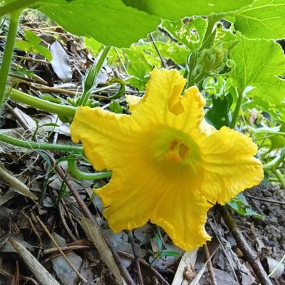 takemaro123's profile picture. 