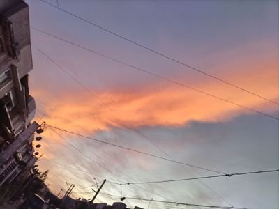 opendoors367's profile picture. 