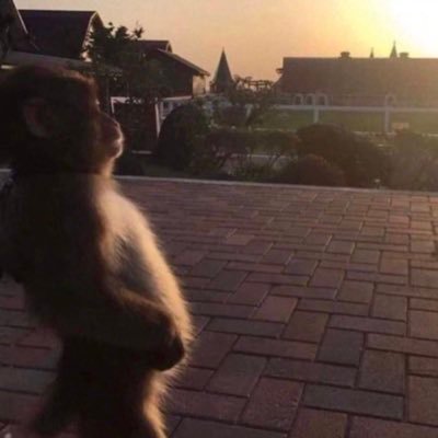 DaveTradez_'s profile picture. swe💻 | trader | $NQ $GC