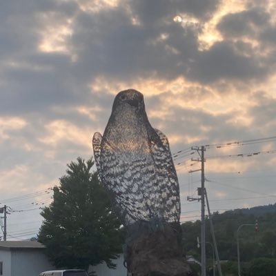 y.k.t.r.さんのプロフィール画像