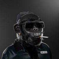 0x6LiiFE (@0x6li) 's Twitter Profile