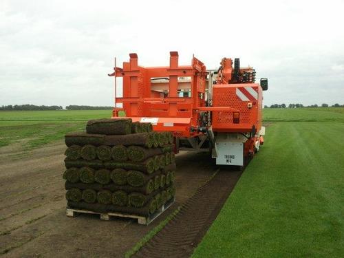 Boelens Supergrass Graszoden, graszodenkwekerij, Borger, U wilt supersnel een supergroen, supermooi gazon? Of u wilt tips voor het onderhoud van uw gazon?