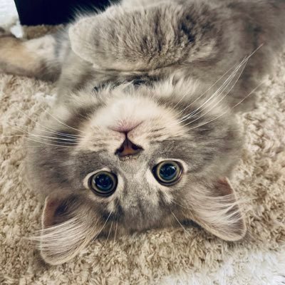私たちは友達になり、一緒にデートや会話を楽しむことができます。一緒に買い物をして、親密なカップルの楽しさを味わう,LINEで私を追加してくださ