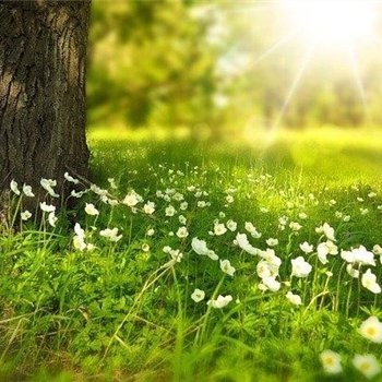 yuina181486's profile picture. お金の悩み解決術やお得な情報など発信中。自分自身お金に苦労したので生活に苦しんでいる方を救いたいと思い、多少ですが現金給付企画を始めました♪ 支援中➡ https://t.co/S5J4l3vxYp