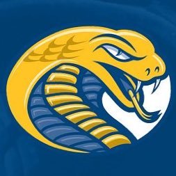 Coker University Baseball Profile