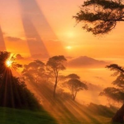 KyrieTruthNight's profile picture. 