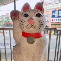 Soy (@soypastemaker) 's Twitter Profile