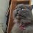 Mininocansado's profile image