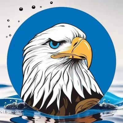 zhoujianqq's profile picture. 白头鹰Hawk唯一地址：0xe846d164b88ed2e1209609fea3cf7a3d89d70d2d