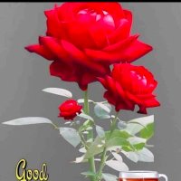 Mangtu ram (@bajrang284) 's Twitter Profile Photo Mangtu ram (@bajrang284) 's Twitter Profile Photo