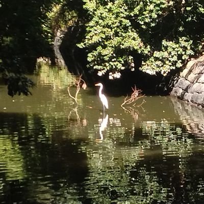 hekisann's profile picture. 顔は出せません▼167.7??43B▼兵庫生→大阪育→神奈川住▼大学研究室秘書やホテルなどの非正規→生保の手前→親の介護などを抱えつつ、人生の軌道修正と再建の途中（時給制圧倒的シフト制不定休の極みの正社員）▼原形がない元水泳部▼胴長短足のムーミン状▼妄想族▼禁煙派下戸▼メガネ常用▼友達募集中▼誰からでもDM受信可