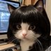 meaawmi (@equinoxlilies) Twitter profile photo meaawmi (@equinoxlilies) Twitter profile photo