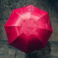 nickolaylo (@lifequotesshort) 's Twitter Profile