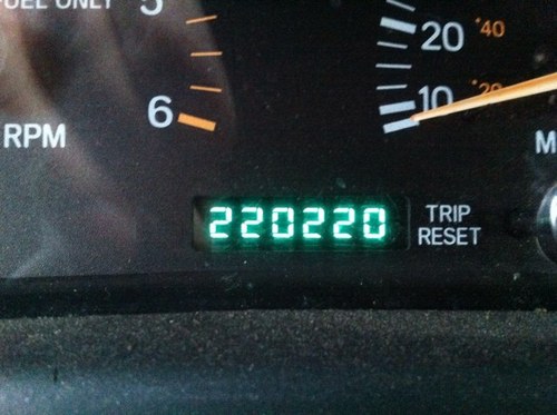 xjsweeney's profile picture. 