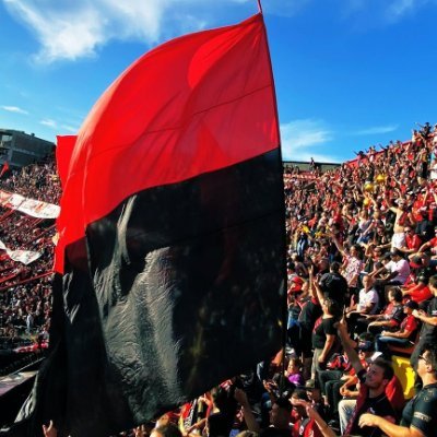AGUANTE FURIA 🔥
FURIA TIENE AGUANTE
NÁPOLES ITALIA
COLÓN ES LOCURA