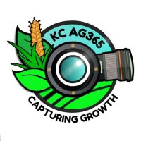 KCAg365 (@kerensacobbled1) 's Twitter Profile Photo