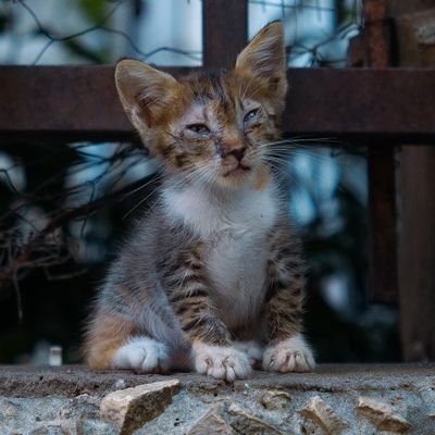 GLMxNTLA's profile picture. This ain't orange this is peach