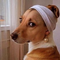 tocinette 🐻 (@exninfula_) 's Twitter Profile