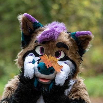 Dorky folf Skylar✨さんのプロフィール画像
