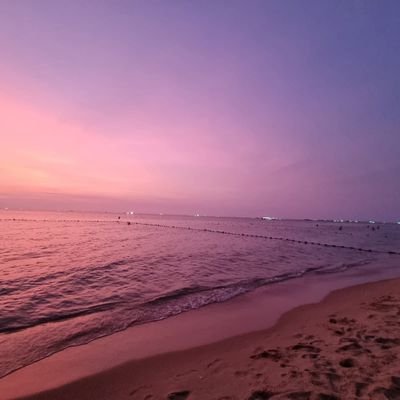 Duylanjunior's profile picture. 