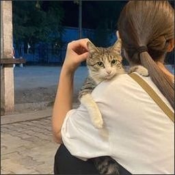 SurgreyyfA9Q's profile picture. 