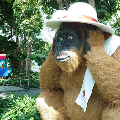 Novenaに生きる🦍。2021年3月🇸🇬(🇯🇵→🇬🇧→🇯🇵→🇸🇬)。専業DP。鳥頭より忘れやすい為忘れないように推敲ゼロ、勢いで呟きます🙏全て個人の備忘録主観憶測です☺️独り言の為、意見交換は不望。相互以外通知切ってます🙇♂️SNS30分制限実施中の為あらかた呟いたら消えます。